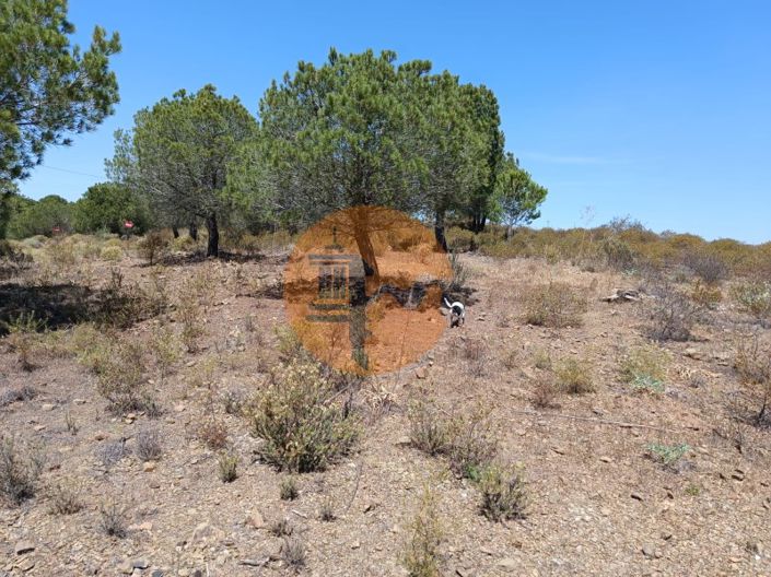 Image No.13-Plot for sale