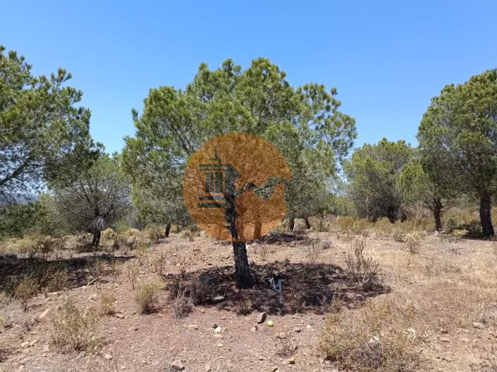 Image No.14-Plot for sale