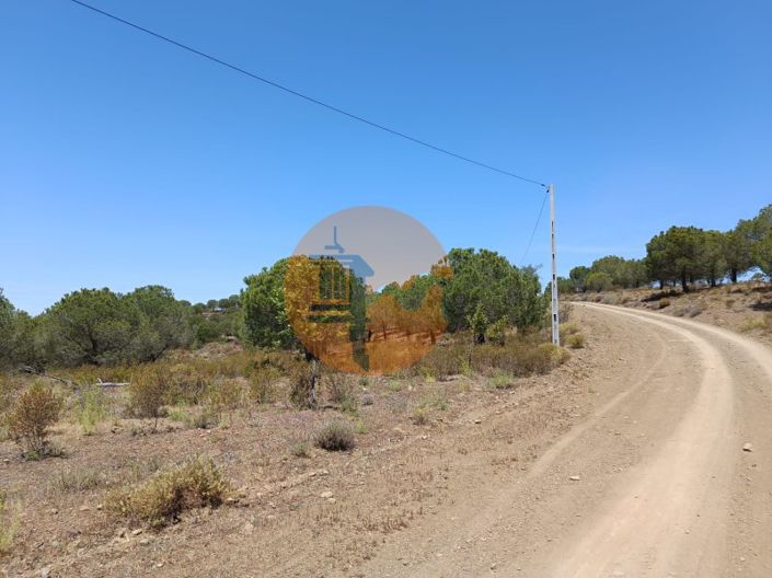 Image No.19-Plot for sale