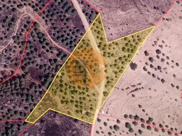 id5b386b01-0000-0500-0000-0000114c334b