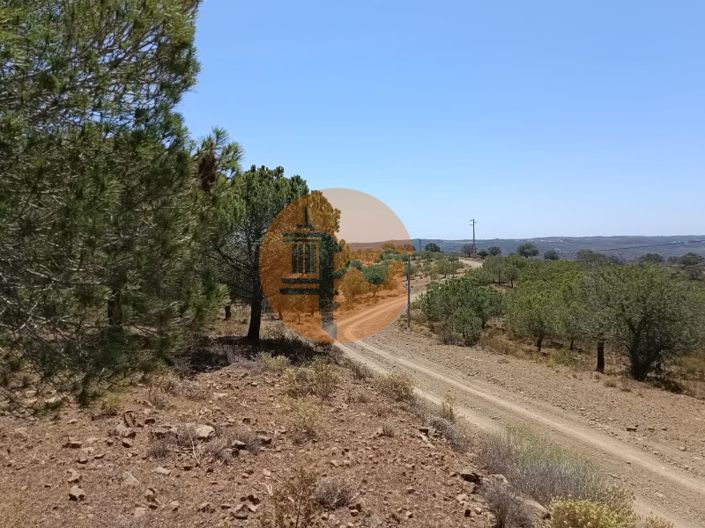 Image No.20-Plot for sale