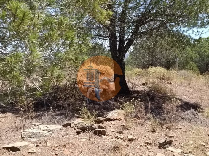 Image No.22-Plot for sale