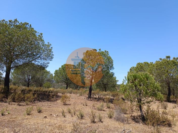 Image No.3-Plot for sale