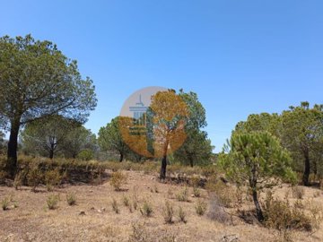 id5b386b01-0000-0500-0000-0000114d89da