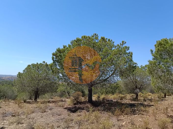 Image No.4-Plot for sale