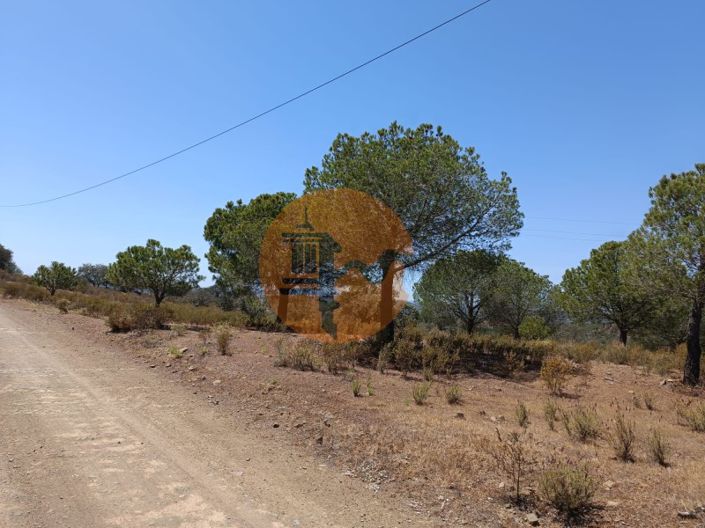 Image No.6-Plot for sale