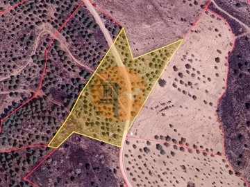 id5b386b01-0000-0500-0000-0000114c334a