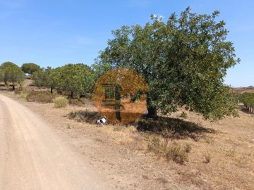 id5b386b01-0000-0500-0000-0000114d89e6