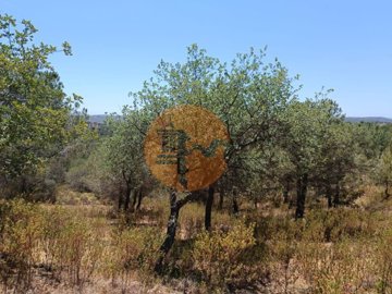 idd4466b01-0000-0500-0000-0000114d7766