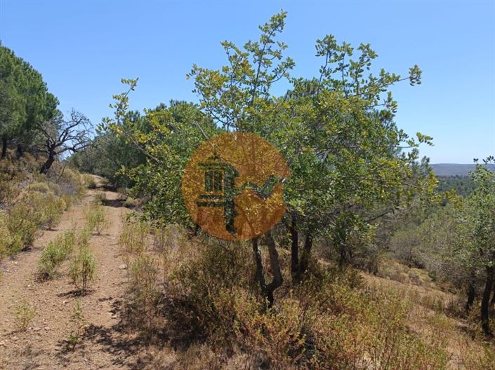 Image No.10-Plot for sale