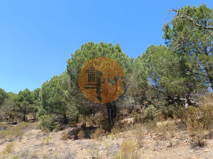 Image No.12-Terrain à vendre à Castro Marim