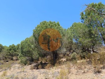 idd4466b01-0000-0500-0000-0000114d777f