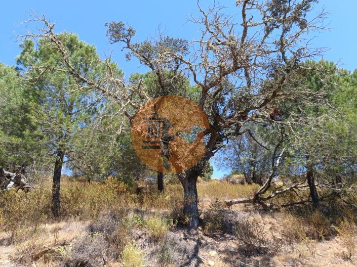 Image No.13-Terrain à vendre à Castro Marim