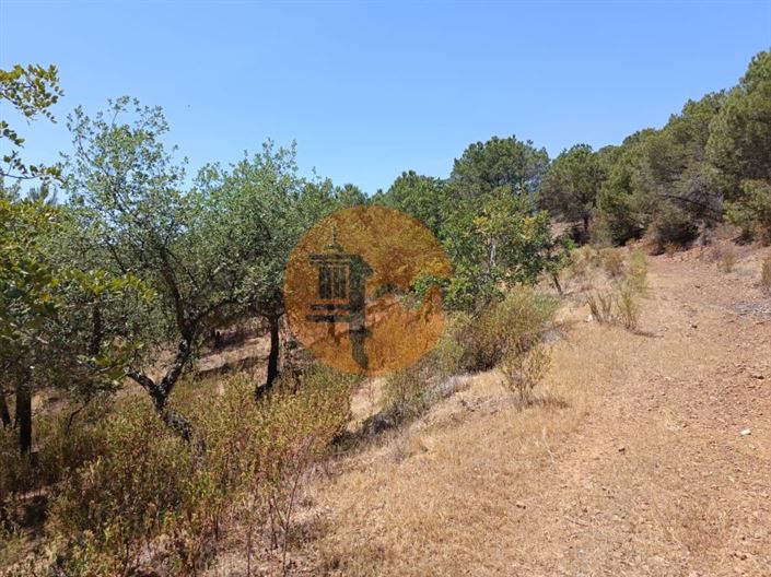 Image No.14-Plot for sale