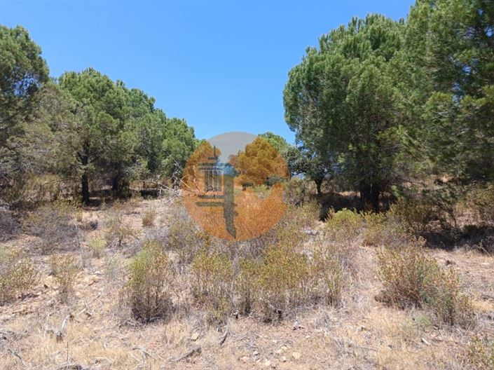 Image No.15-Plot for sale