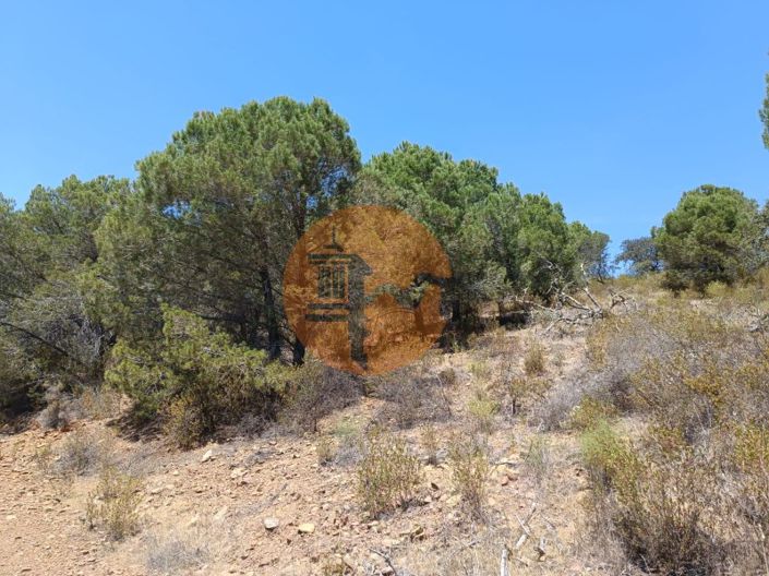 Image No.16-Terrain à vendre à Castro Marim