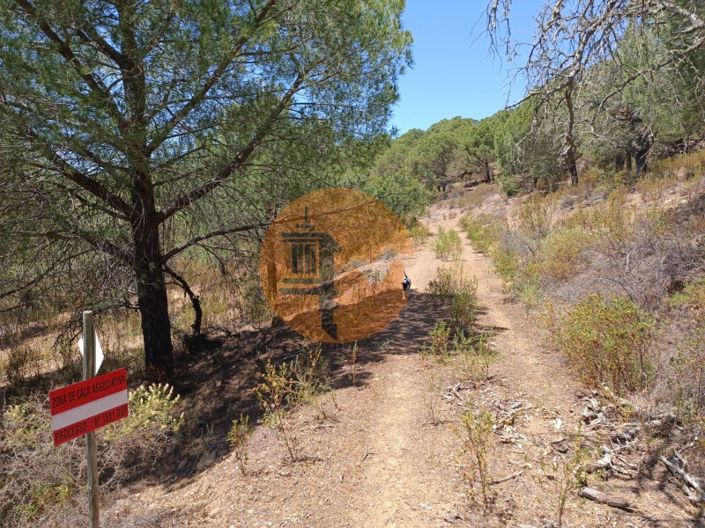 Image No.17-Plot for sale