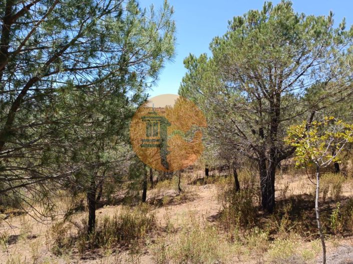 Image No.19-Terrain à vendre à Castro Marim