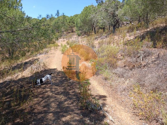 Image No.20-Terrain à vendre à Castro Marim