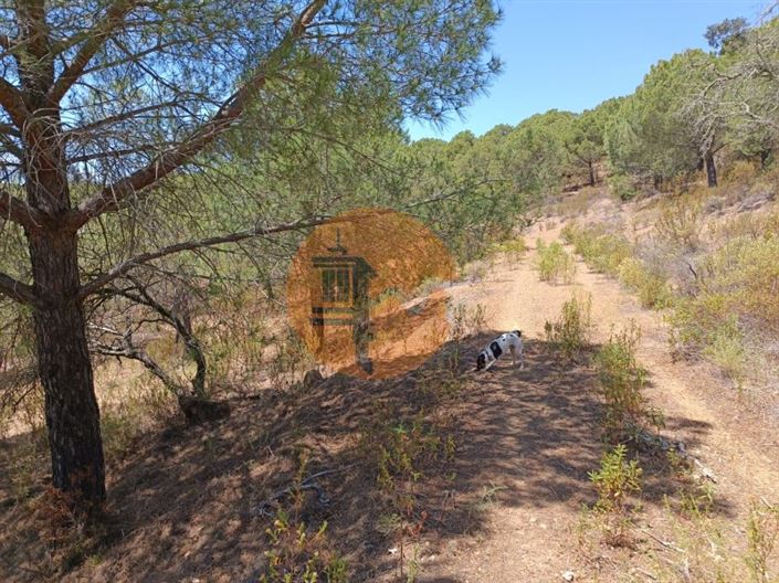 Image No.21-Plot for sale