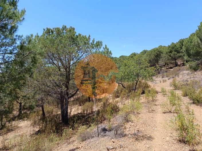 Image No.22-Plot for sale