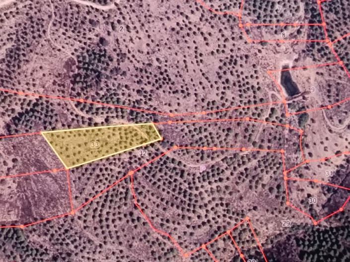 Image No.24-Plot for sale