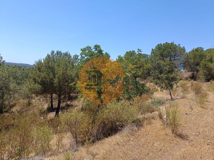 Image No.3-Terrain à vendre à Castro Marim