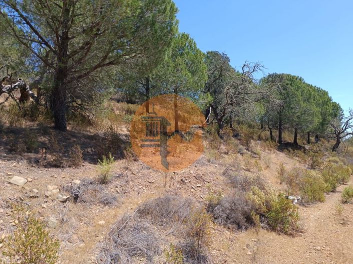 Image No.6-Terrain à vendre à Castro Marim