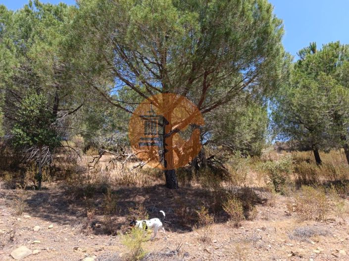 Image No.7-Terrain à vendre à Castro Marim