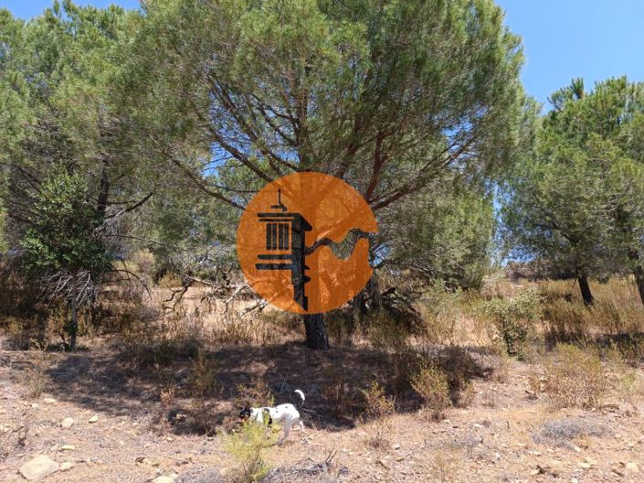 Image No.7-Plot for sale