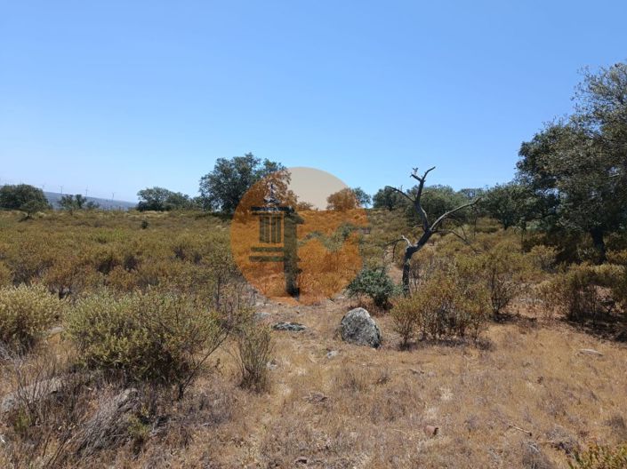 Image No.13-Terrain à vendre à Castro Marim