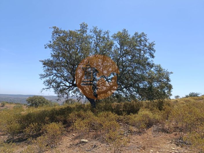 Image No.15-Terrain à vendre à Castro Marim