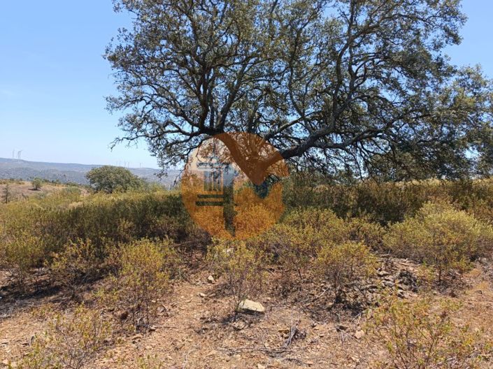 Image No.19-Terrain à vendre à Castro Marim