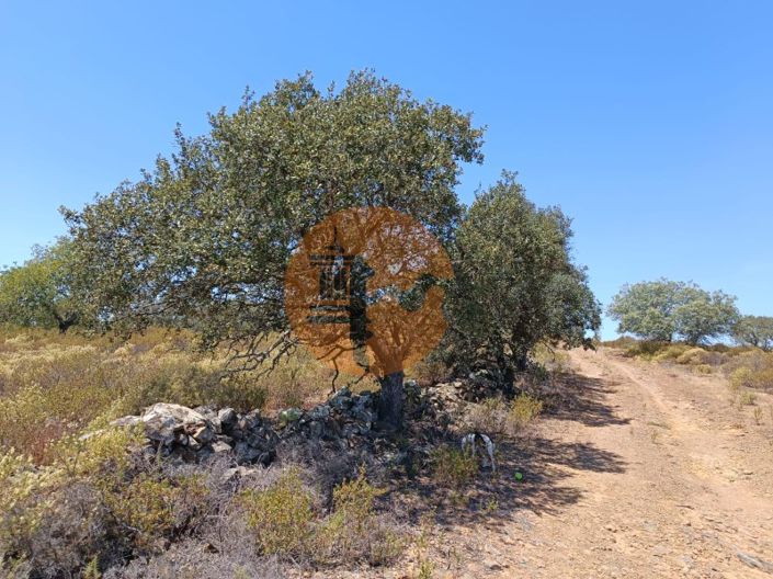 Image No.24-Terrain à vendre à Castro Marim