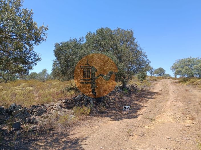 Image No.26-Terrain à vendre à Castro Marim