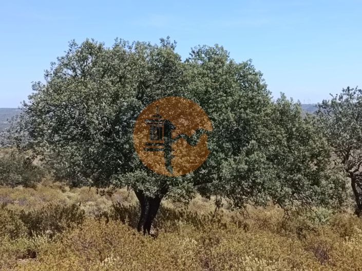 Image No.5-Terrain à vendre à Castro Marim