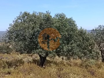 id55386b01-0000-0500-0000-0000114d95e4