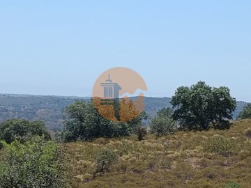 id55386b01-0000-0500-0000-0000114d95c7