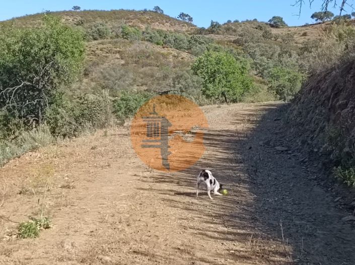 Image No.15-Terrain à vendre à Castro Marim