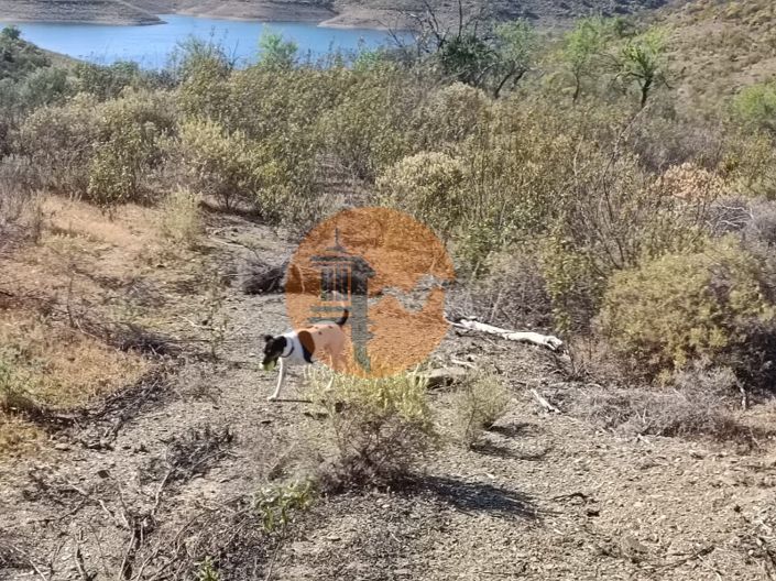 Image No.24-Terrain à vendre à Castro Marim