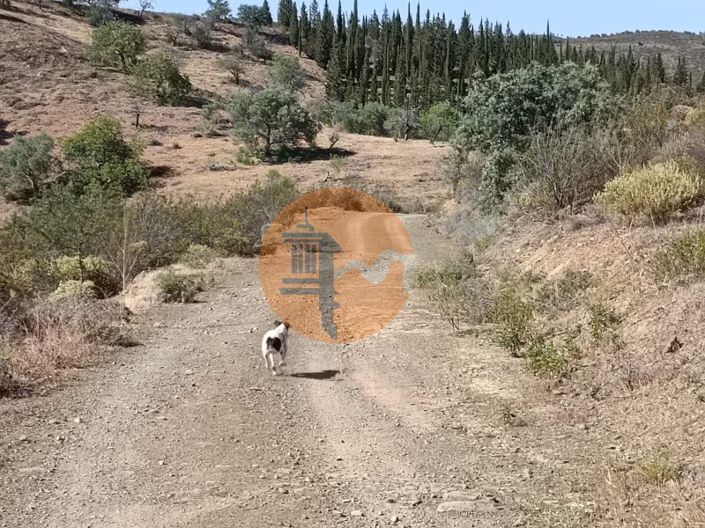 Image No.6-Terrain à vendre à Castro Marim