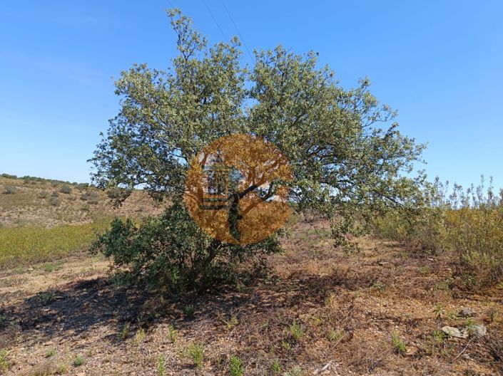 Image No.1-Plot for sale