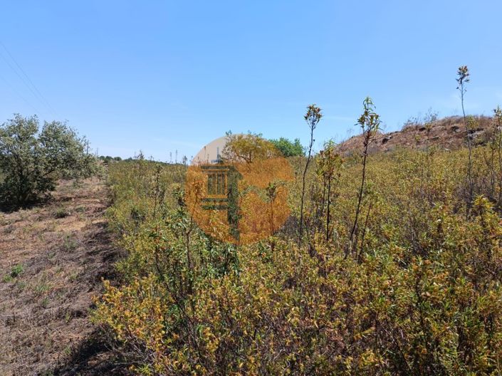 Image No.12-Plot for sale