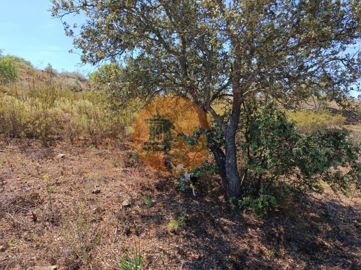 Image No.13-Plot for sale