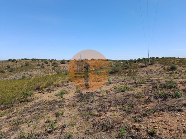 Image No.22-Plot for sale