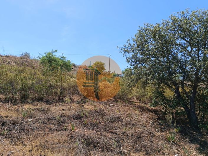 Image No.23-Plot for sale