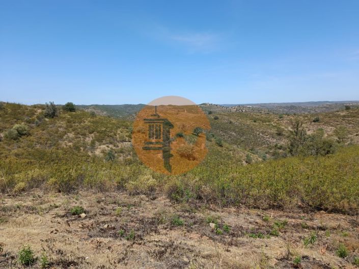 Image No.24-Plot for sale