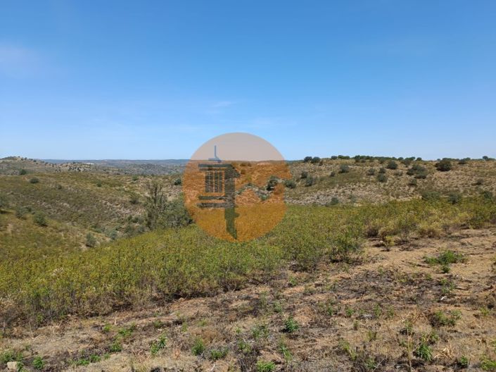 Image No.27-Plot for sale