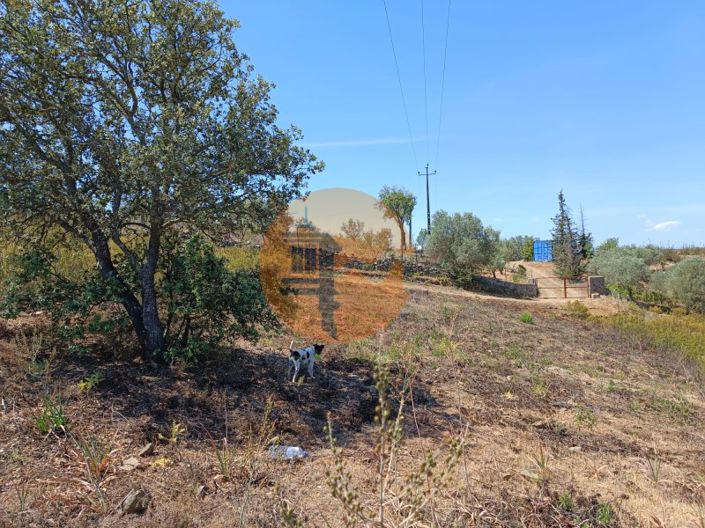 Image No.4-Plot for sale