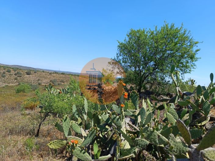 Image No.6-Plot for sale